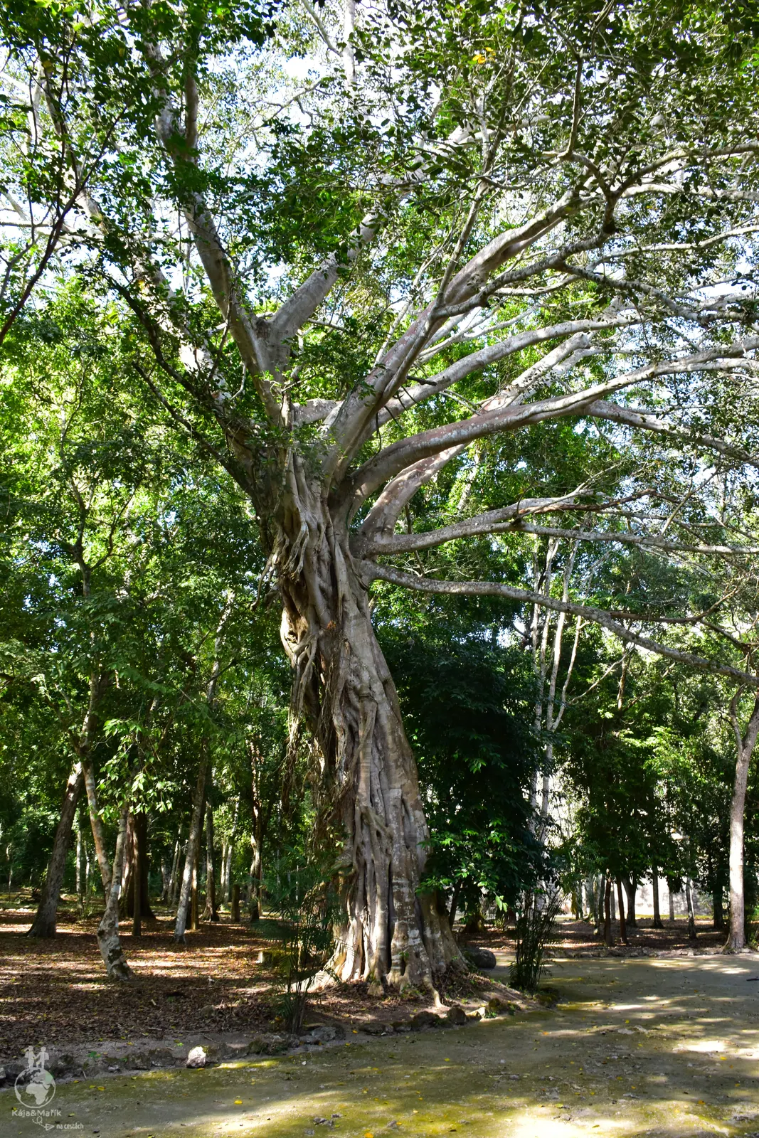 Calakmul