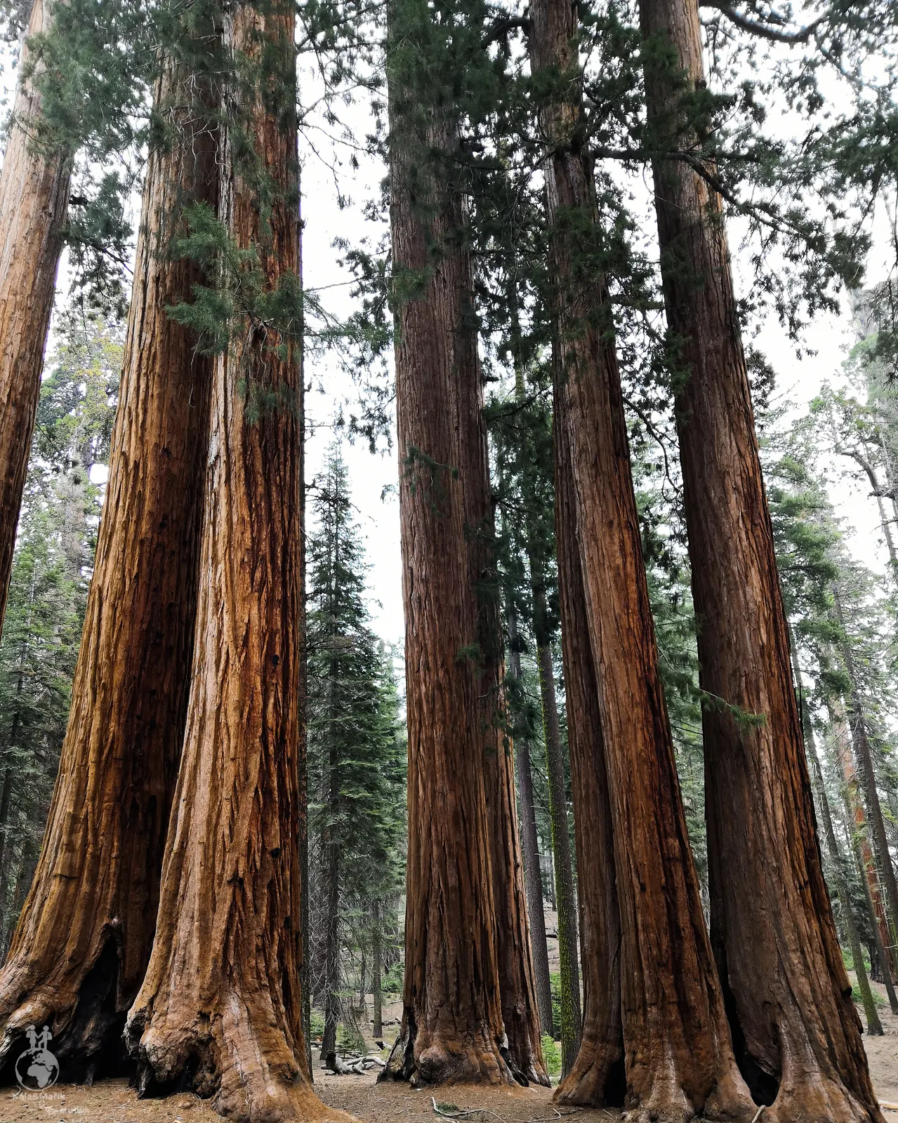 Sequoia National Park