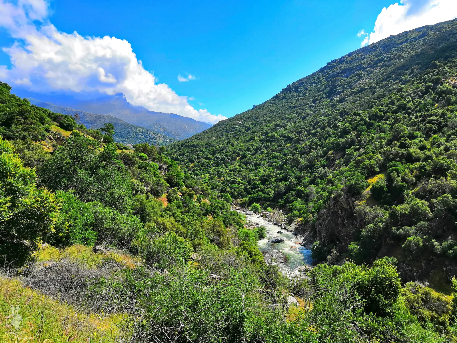 Sequoia National Park