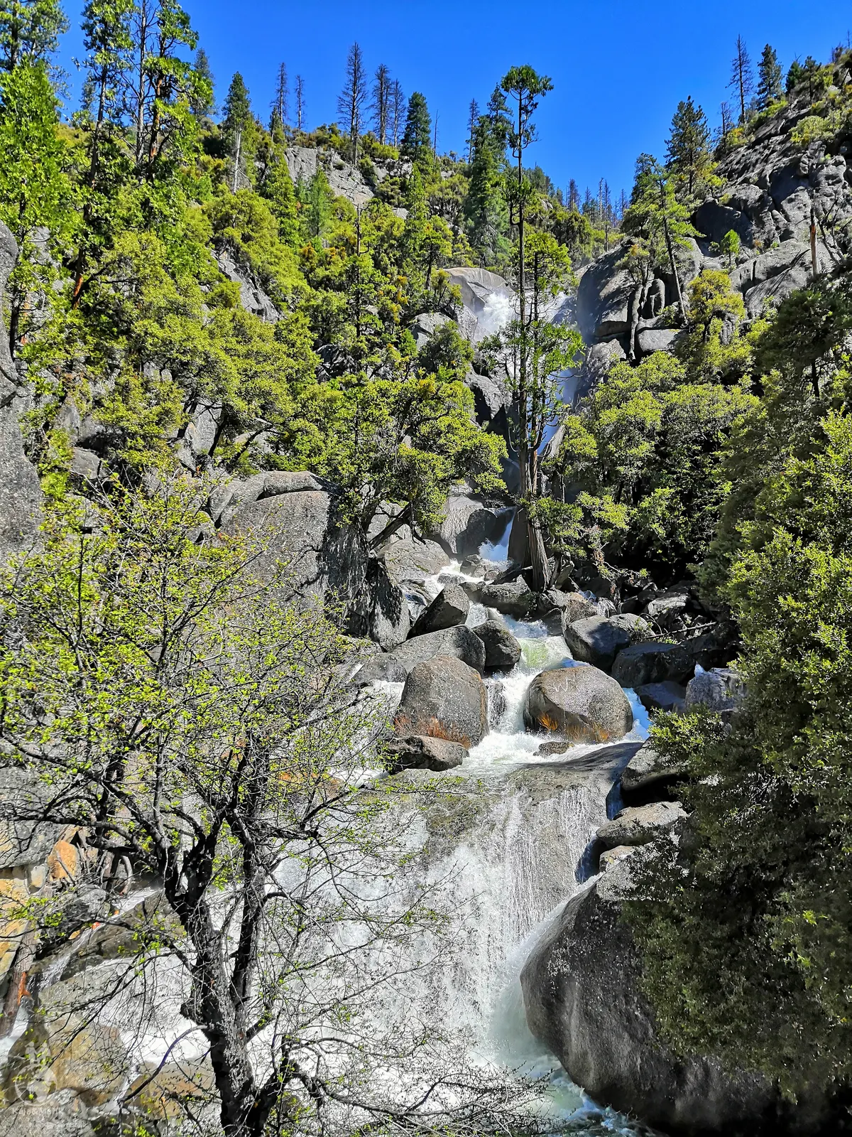 Bridalveil Fall