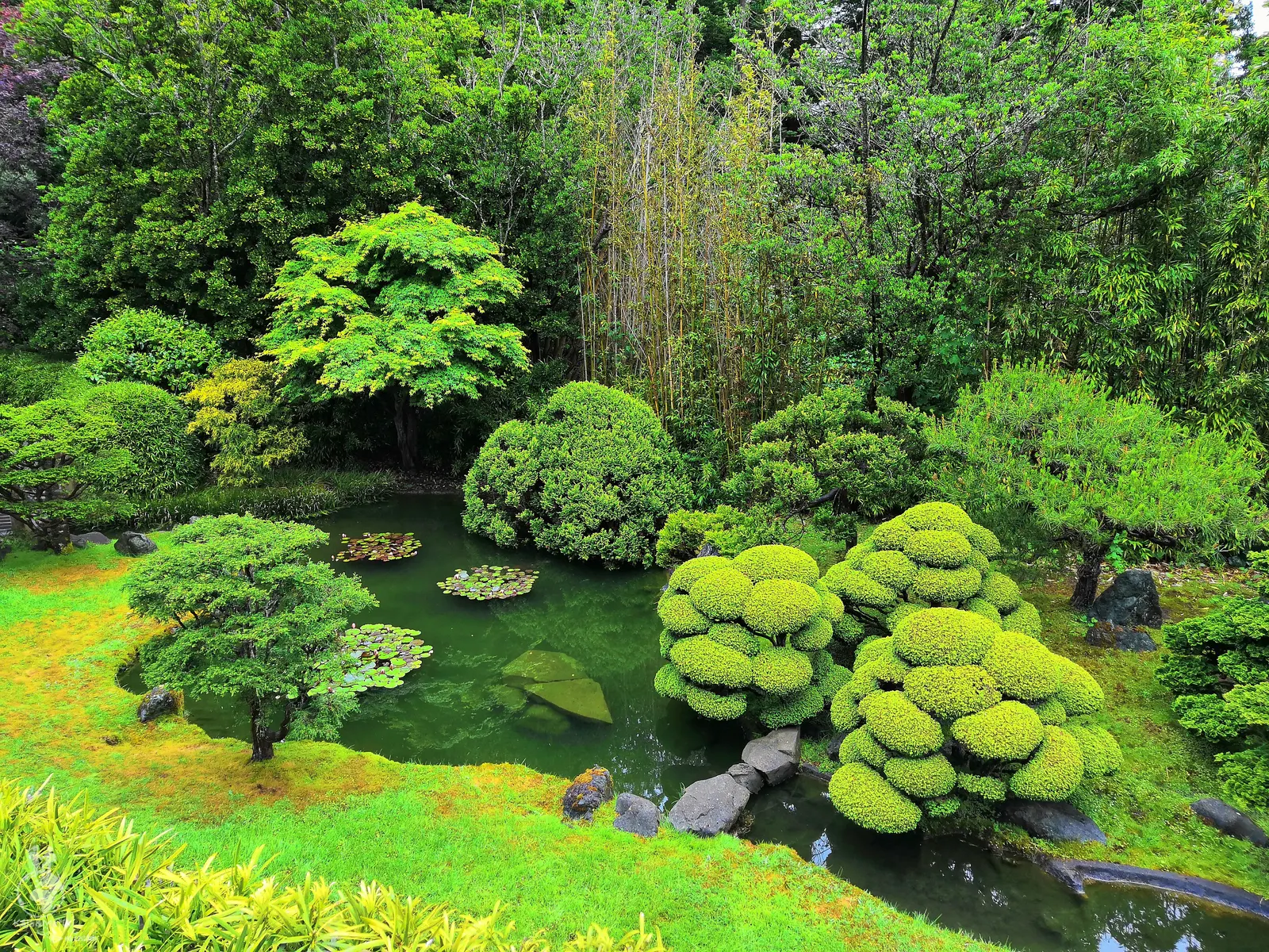 Japanese Tea Garden