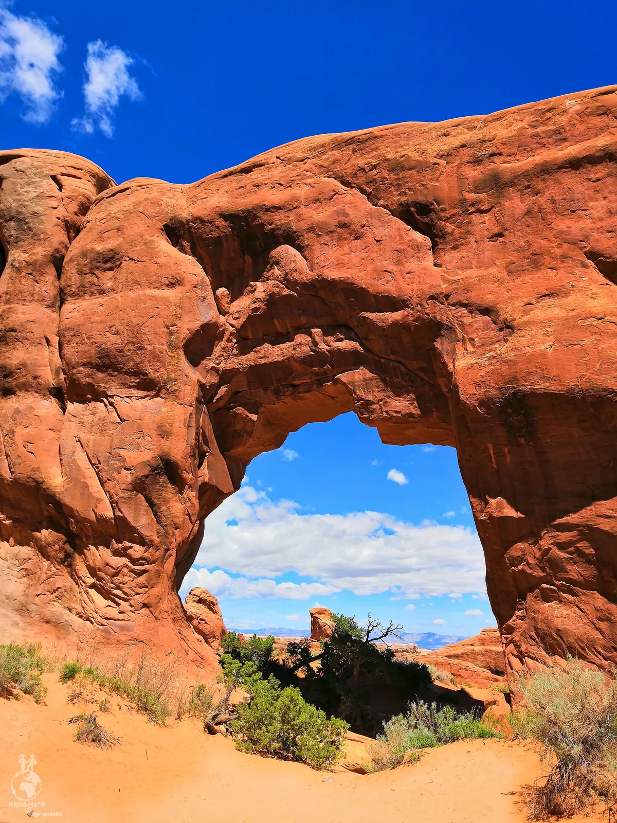 Pine Tree Arch