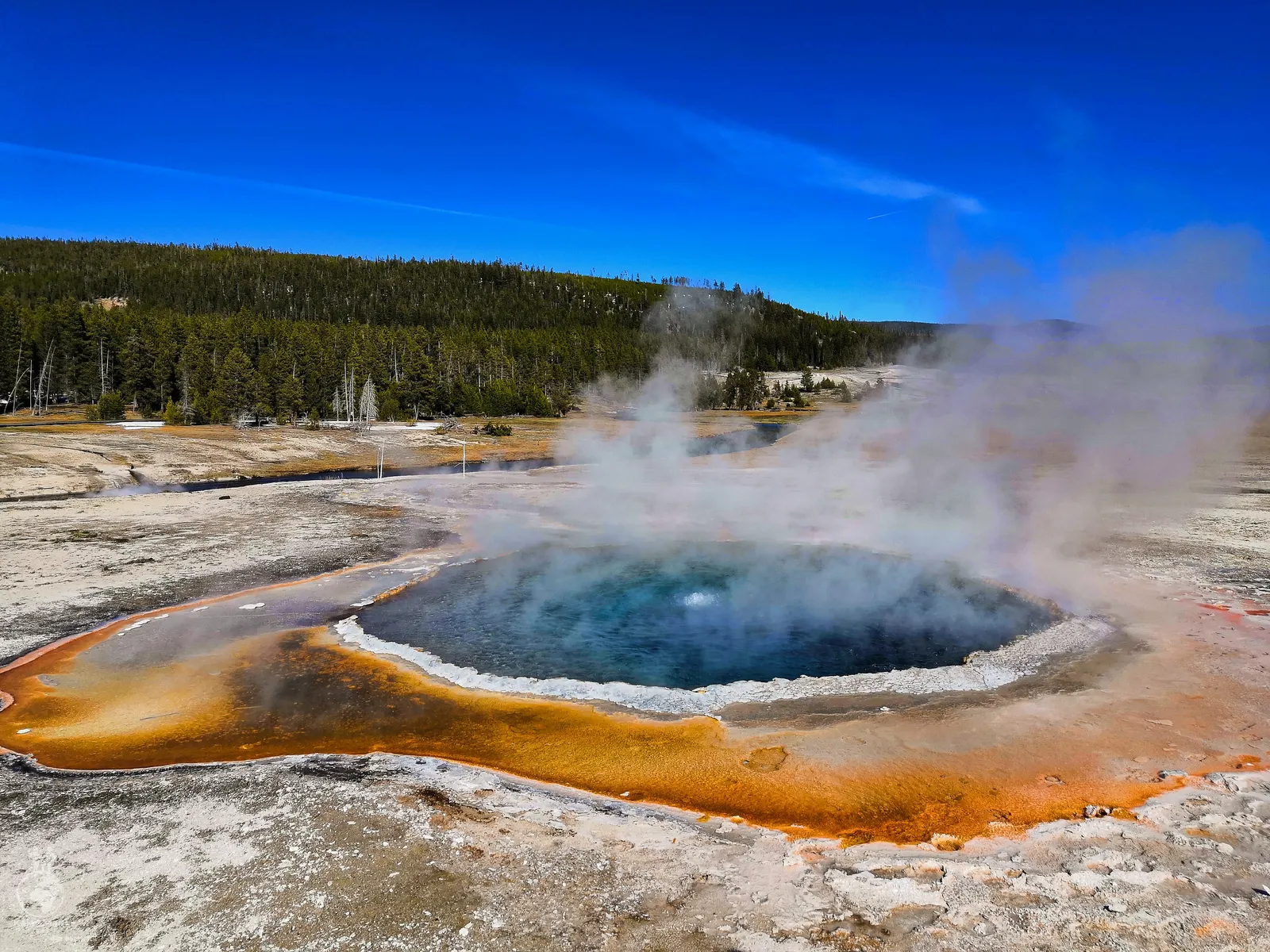 Crested Pool