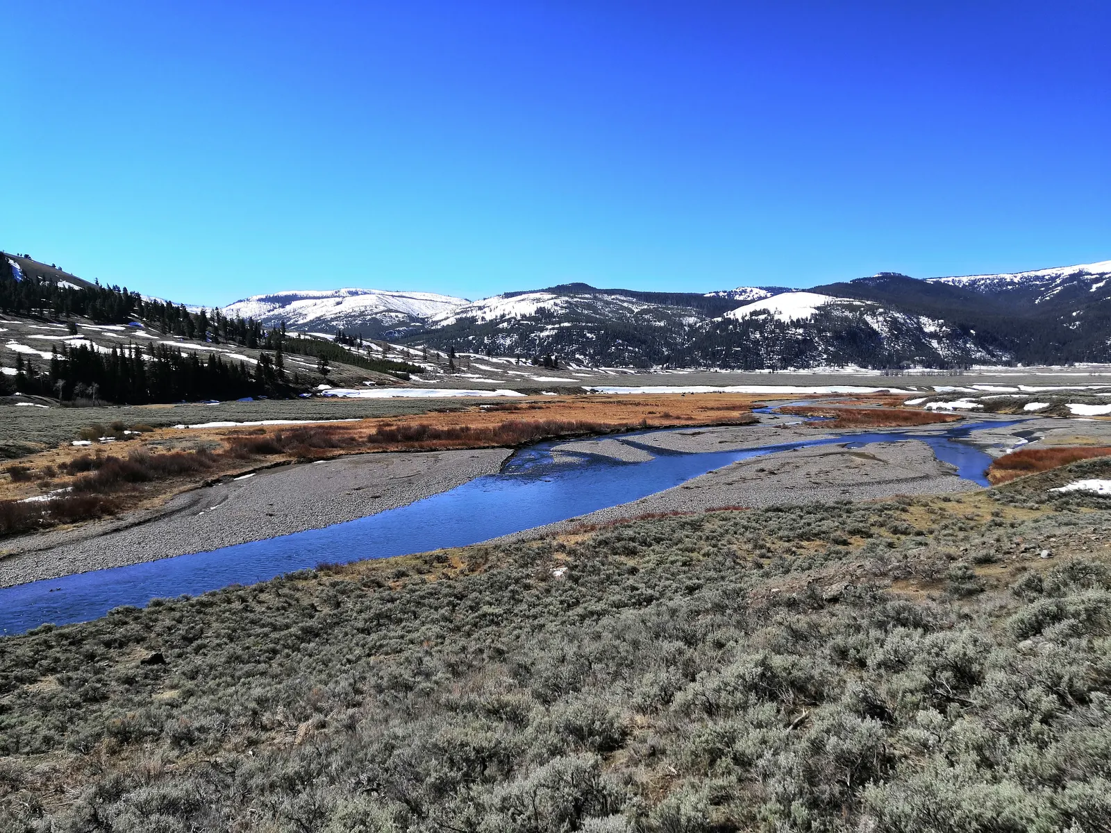 Lamar Valley