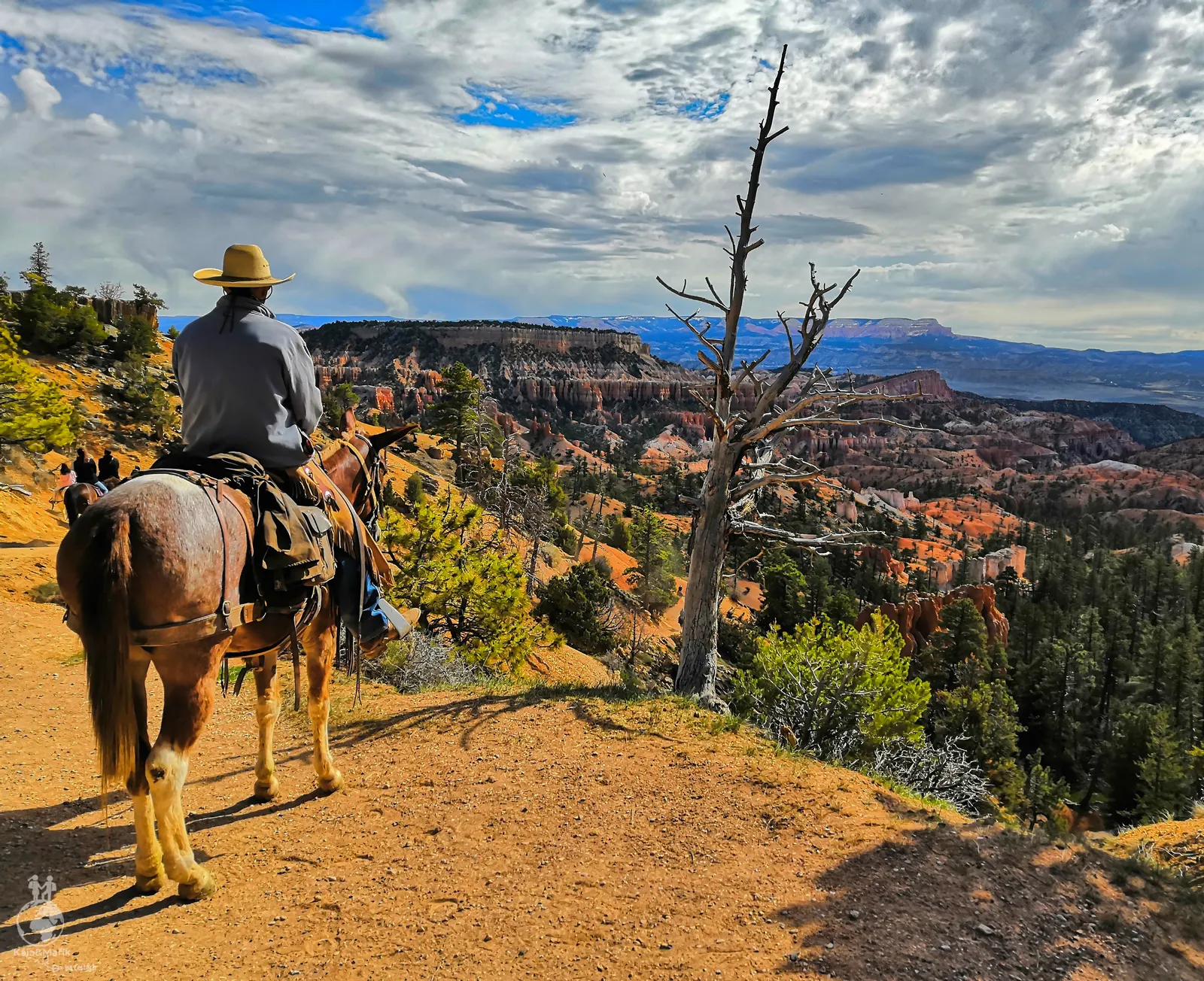 Bryce National Park