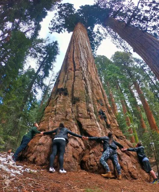 Sequoia National Park