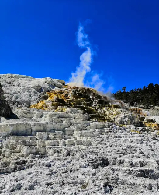 Mammoth Hot Springs v Yellowstone National Park