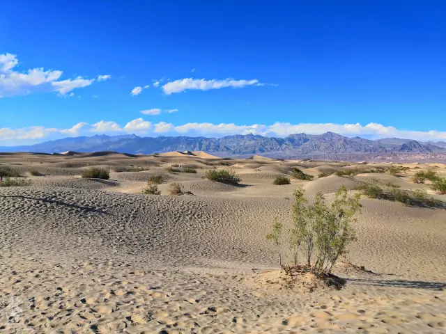Mesquite Flat Sand Dunes