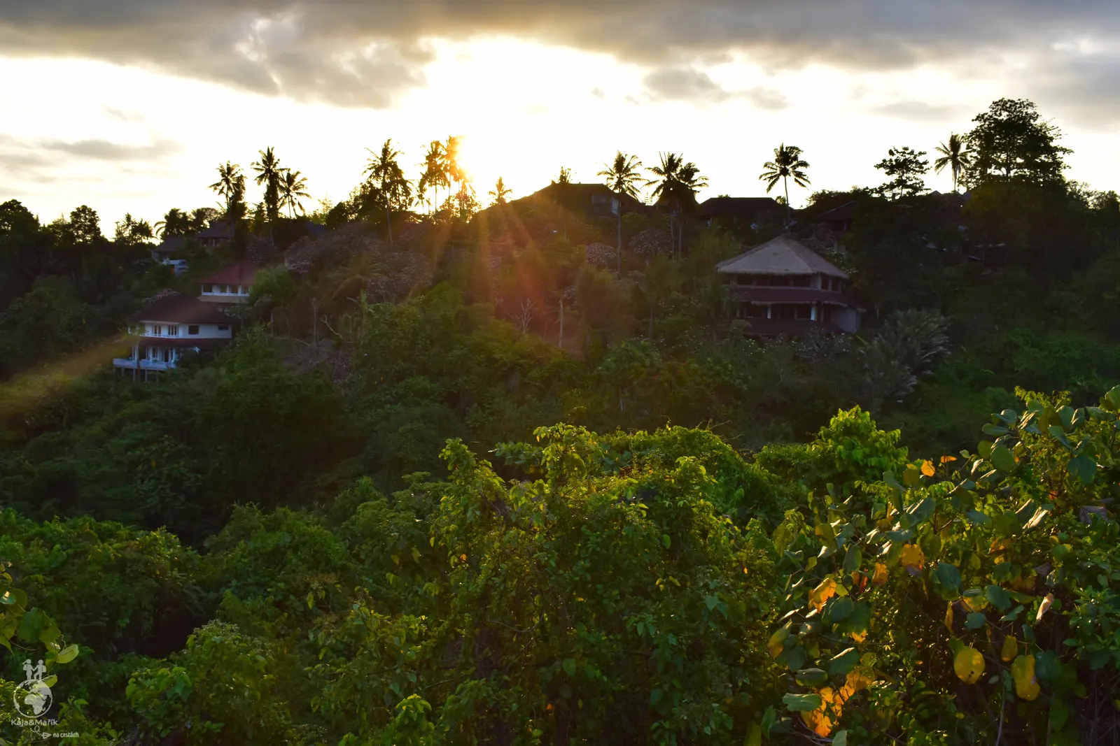 Campuhan Ridge Walk