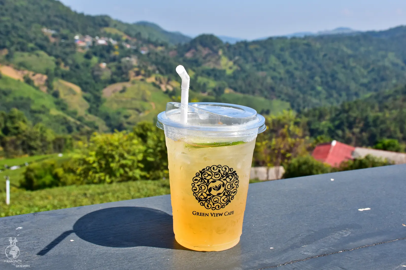 Výhled od obchůdku Tea Plantation 101