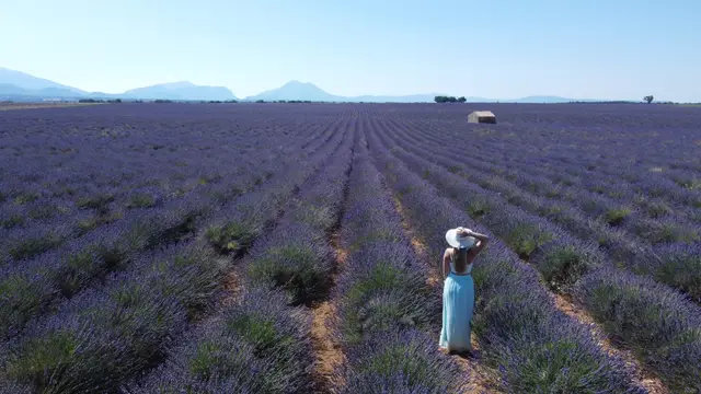 Provence